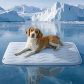 Premium Breathable Qmax Cooling Dog Bed Mat For Pets