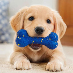 Bite Resistant Solid Dog Ball Toy High Elasticity Interactive Play