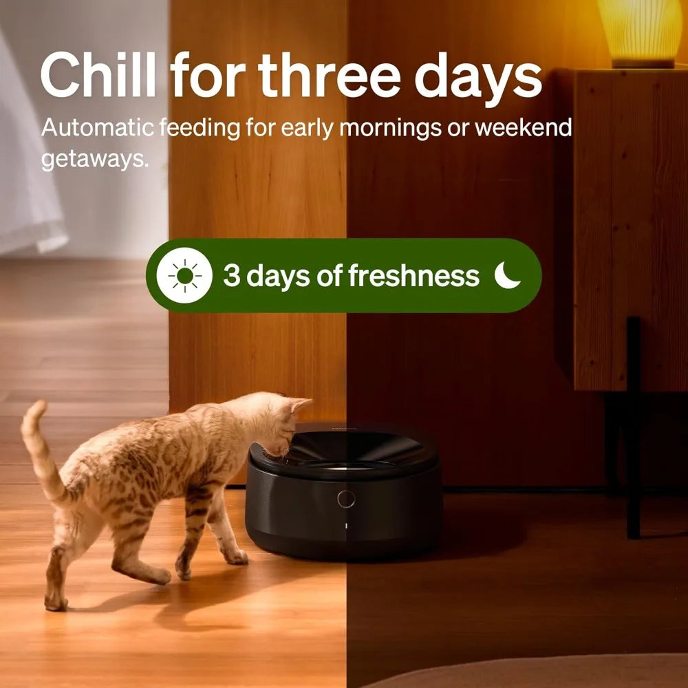 NEW Automatic Cat Feeder Wet Food w/Stainless Steel Bowl, Refrigerated Auto Cat Feeder w/Semiconductor Cooling,Easy to Clean