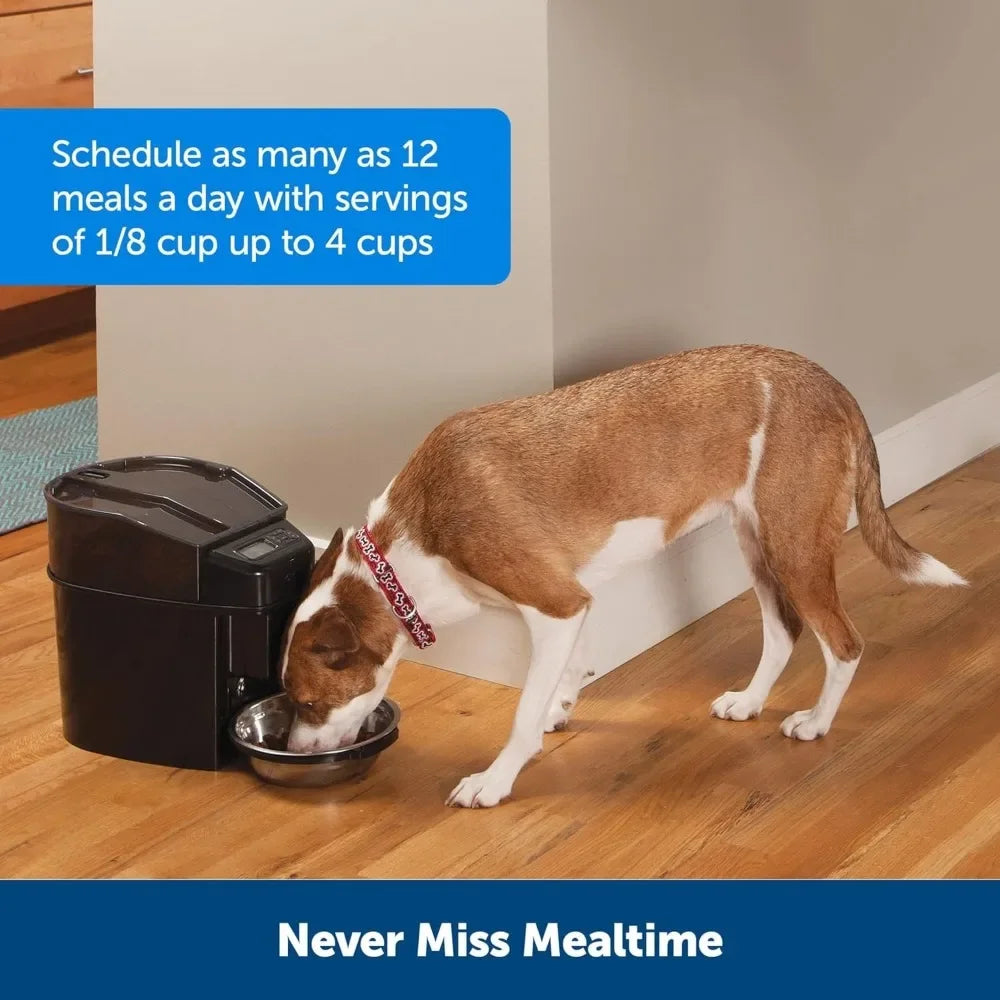 Automatic Cat Feeder - Pet Simply Feed - Automatic Pet Feeder for Cats Dogs - Timed Pet Feeder with Programmable Portion Control