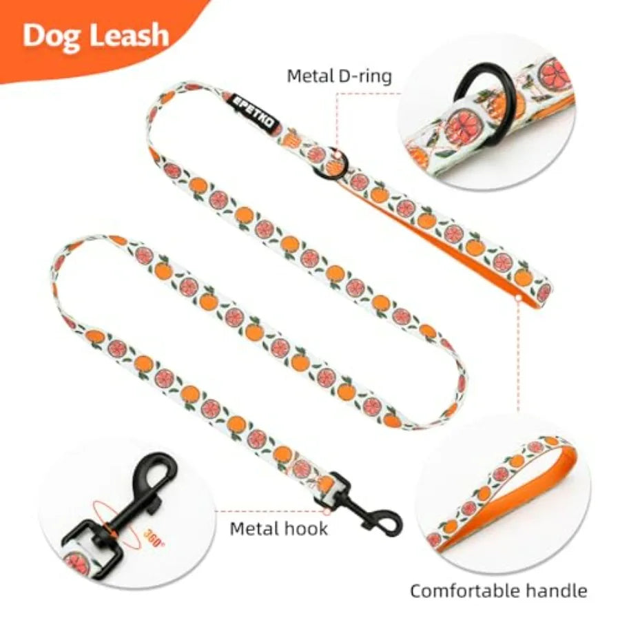 Small Dog Harness and Leash Set of 6, No Pull Soft Lightweight Mesh Puppy Harness Adjustable Cute Floral Pattern Pet Harness fo