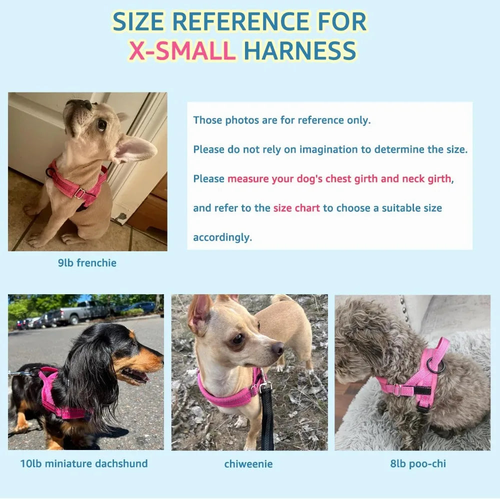 No Pull Small Dog Harness & Leash Set, Soft Vest for Small Medium Dogs, Reflective & Adjustable, Fuchsia XS