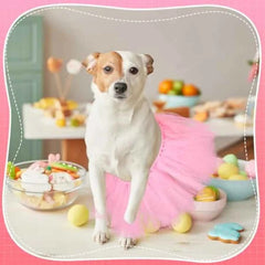 Elegant Silk Tutu Skirt For Dogs Puppies Ballerina Holiday Costume