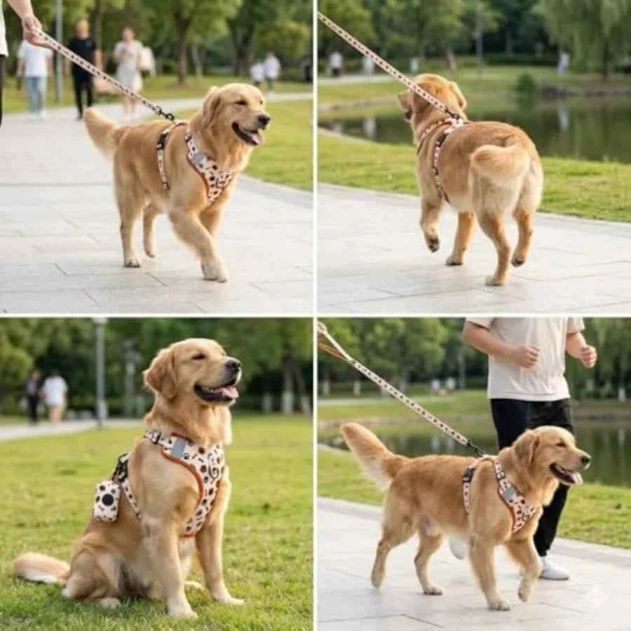 No Pull Dog Harness Set 4PCS Adjustable Soft Vest Harness with Leash, Collar and Poop Bag Holder for Large Breed Dogs L