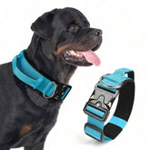 Adjustable Tactical Dog Collar With Handle For Medium And Large Dog Breeds Such As Pit Bull, German Shepherd, Labrador, Golden R