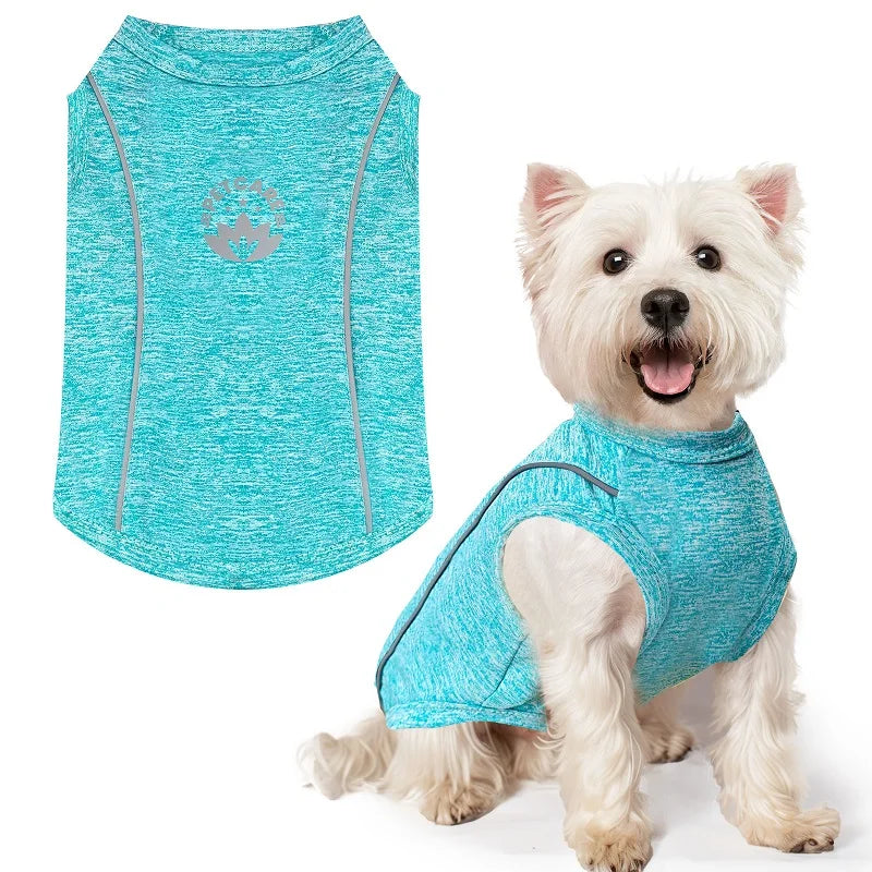 Pet Dog Shirt Quick Dry Dog T-Shirt Chihuahua Breathable Thin Sun Protection Dog Shirt Puppy Outdoor Clothes Summer Pet Supplies
