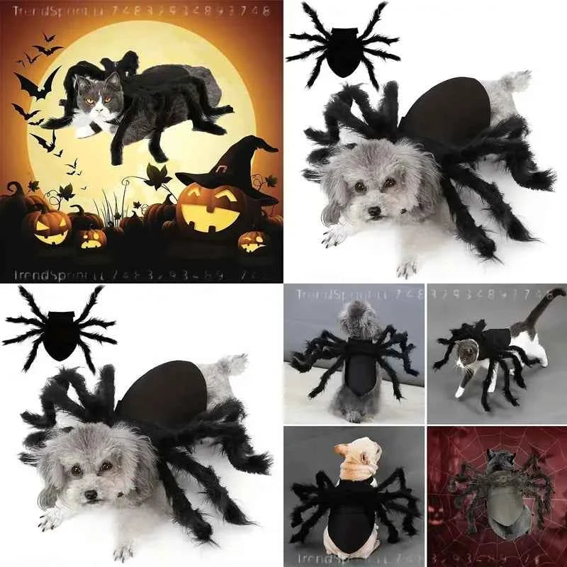 Pet Spider Costume Halloween Cosplay Pet Festive Outfit