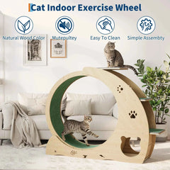 HiMISS Multifunctional Cat Exercise Wheel Featuring Scratcher And Bowls