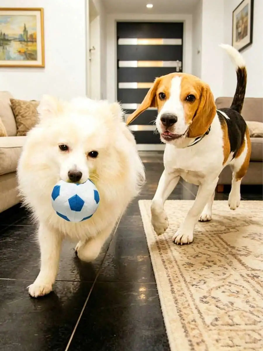 Durable Plush Squeaky Football And Soccer Ball Toy Set For Dogs