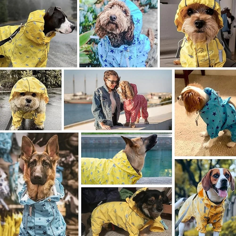 Lightweight Waterproof Dog Raincoat With Hood And Harness