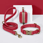 Didog Custom Dog Collar Leash Set With Poop Bag PU Leather