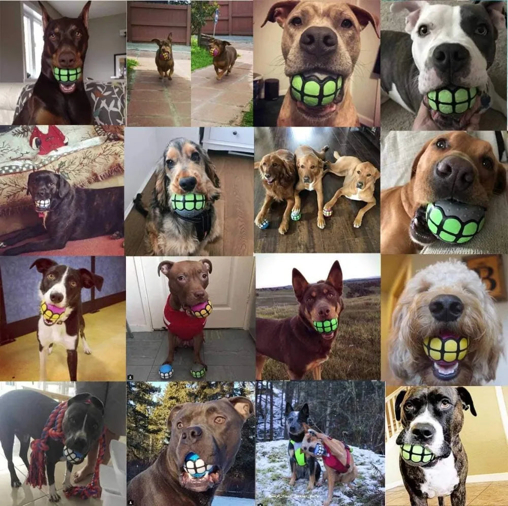 Dog Balls Toys Squeaky Fetch - Rubber Funny Ball Gifts for Large Medium Dogs