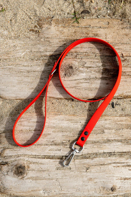 Stylish and Safe: Choosing the Perfect Collars, Harnesses, and  Leashes for Your Pet