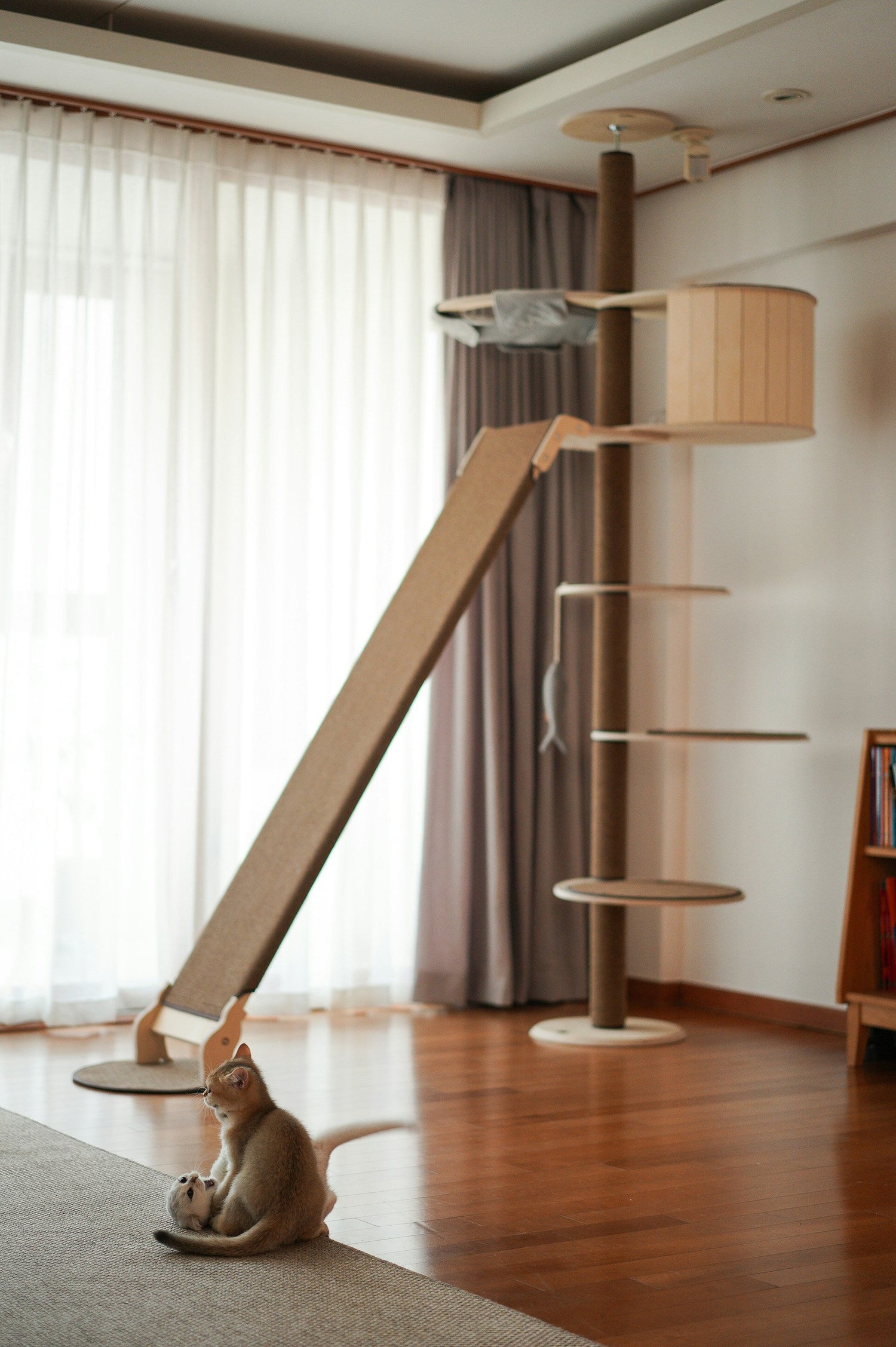 Dog Beds & Cat Towers