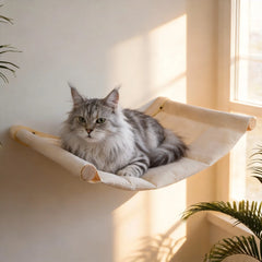 Wall Mounted Cat Hammock Set Multi Functional Climbing Shelves Perches Sisal Scratching Wooden Steps Ladder Large Cat Furniture Kit for Indoor Cats Sleeping Playing