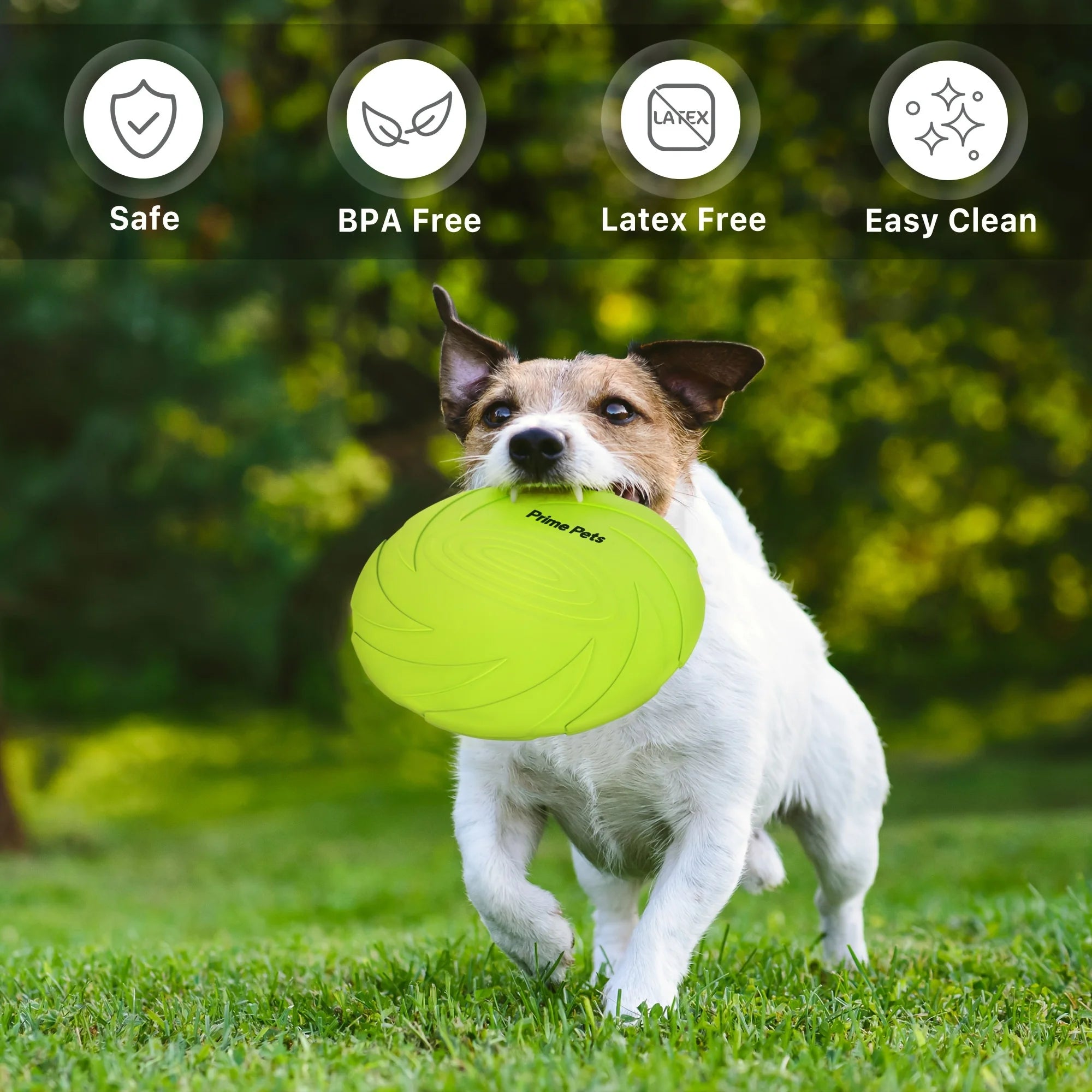 BENBEN 2 Pack Dog Frisbees Natural Rubber Floating Discs