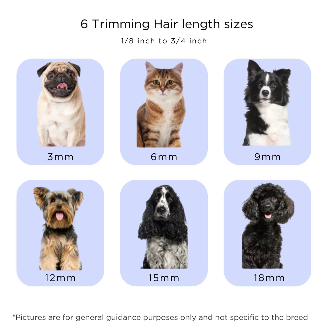 Grooming Kit For Dogs And Cats With Vacuum And Clippers