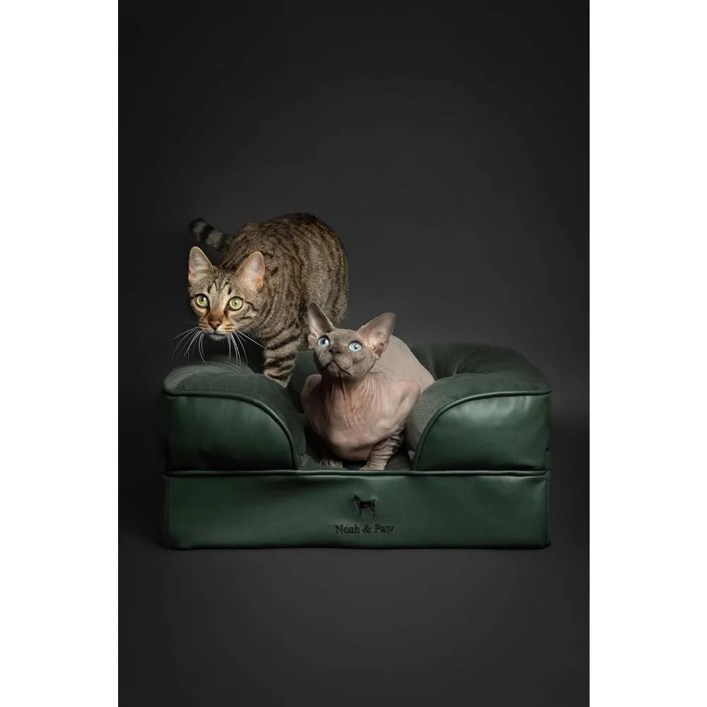 Noah And Paw Orthopedic Memory Foam Dog Bed With Gel