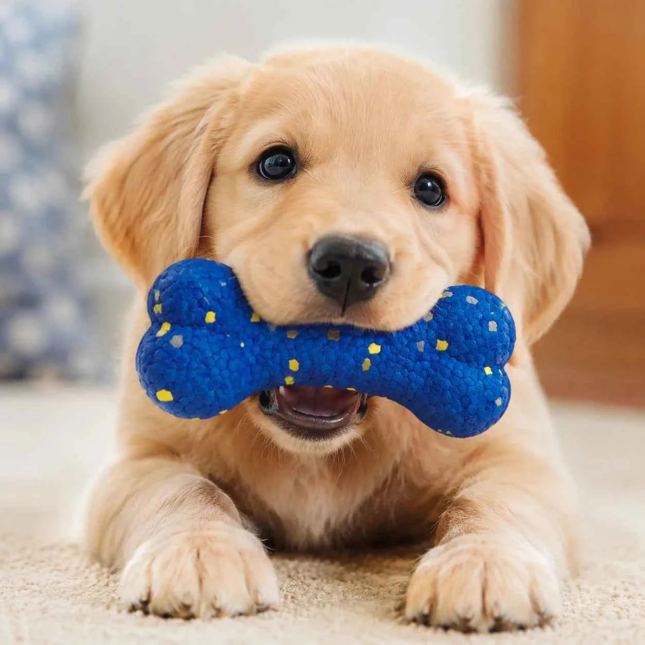 Bite Resistant Solid Dog Ball Toy High Elasticity Interactive Play