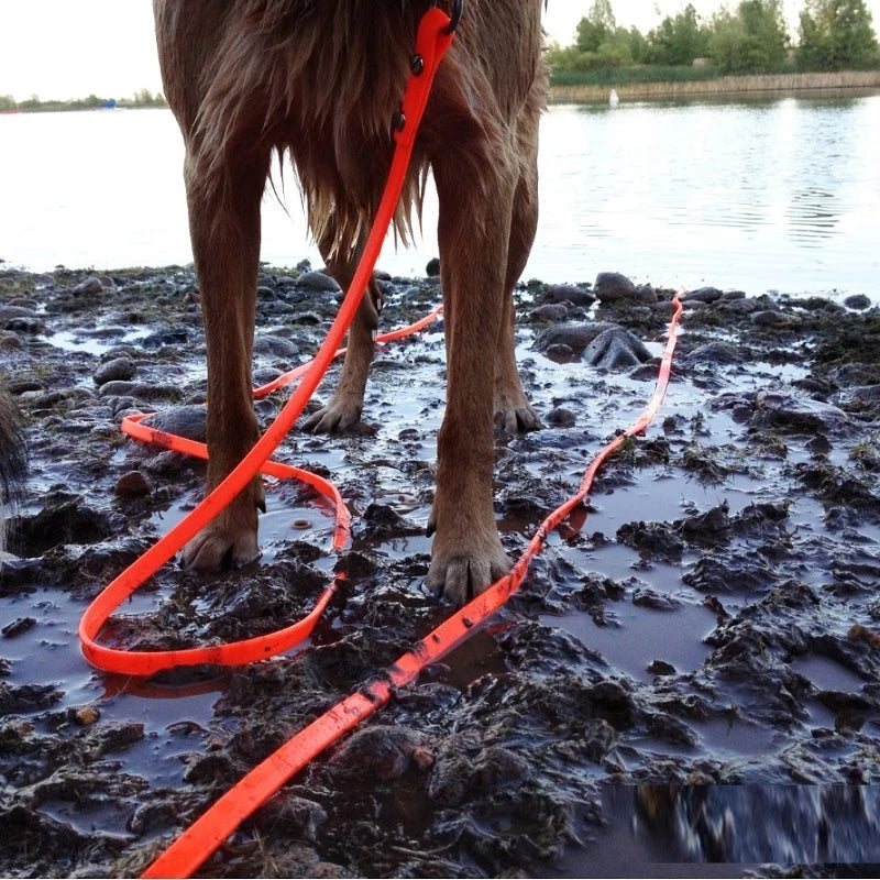 Livepetsme Waterproof Dog Leash PVC Easy Clean Walking Lead