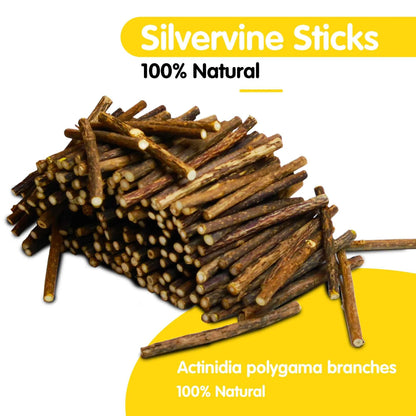 Oitabi Silvervine Cat Chew Toy - Natural Sticks for Healthy Teeth and Gum Care