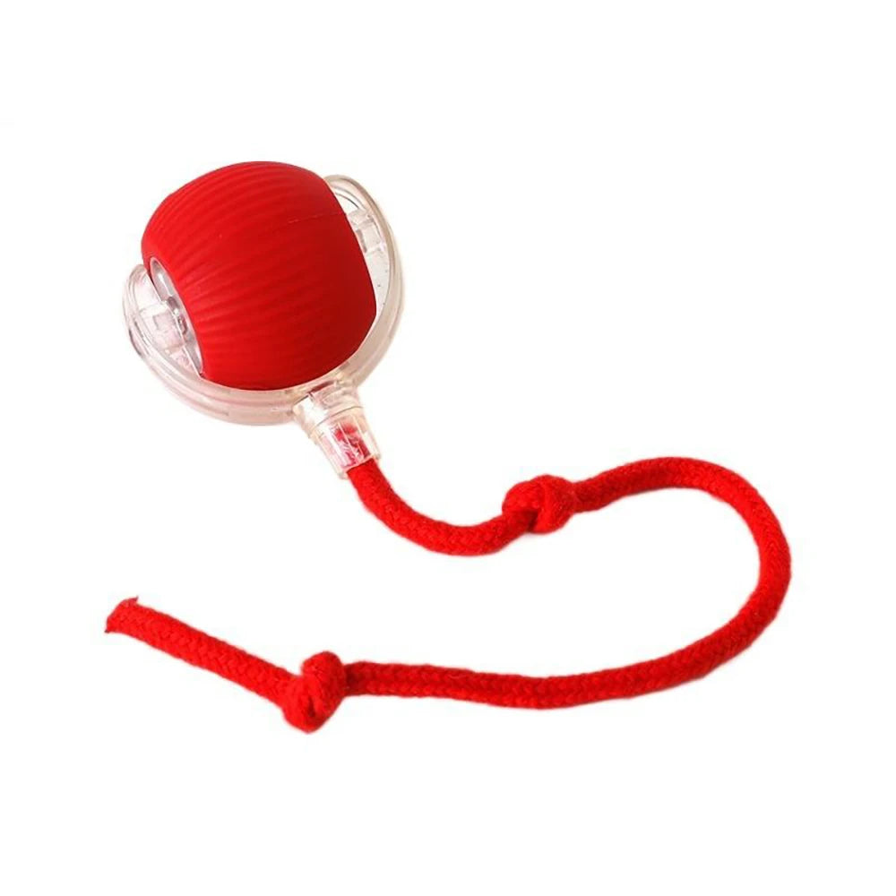 Rechargeable Interactive Rolling Cat Toy Ball Indoor Play