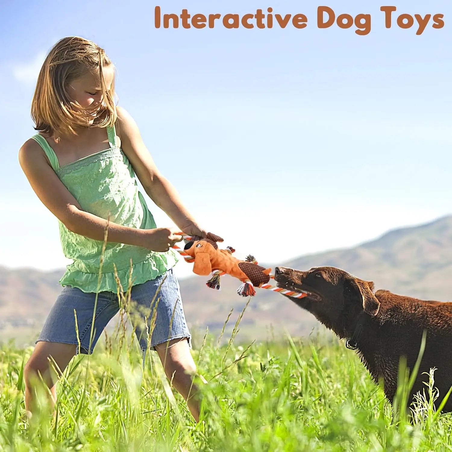 Squeaky Tug Of War Dog Toy With Indestructible Rope