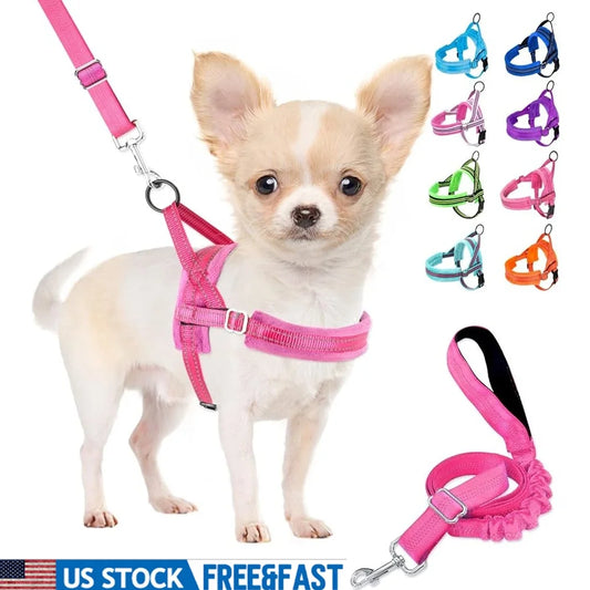 Adjustable Reflective Padded Dog Harness And Leash Set