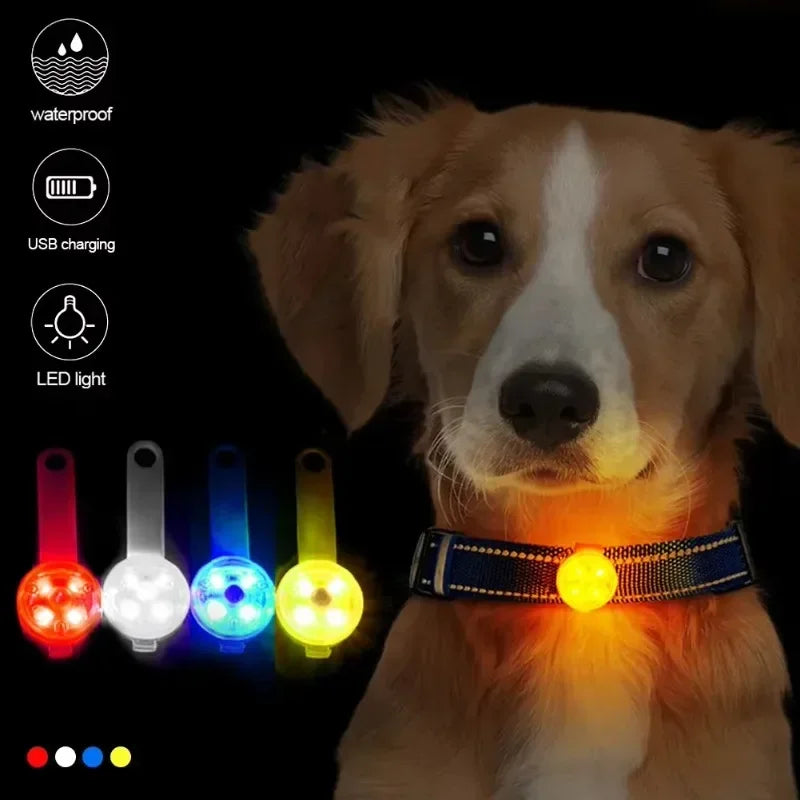 Guangdong LED Pet Tracking Pendant For Dogs USB Rechargeable Light