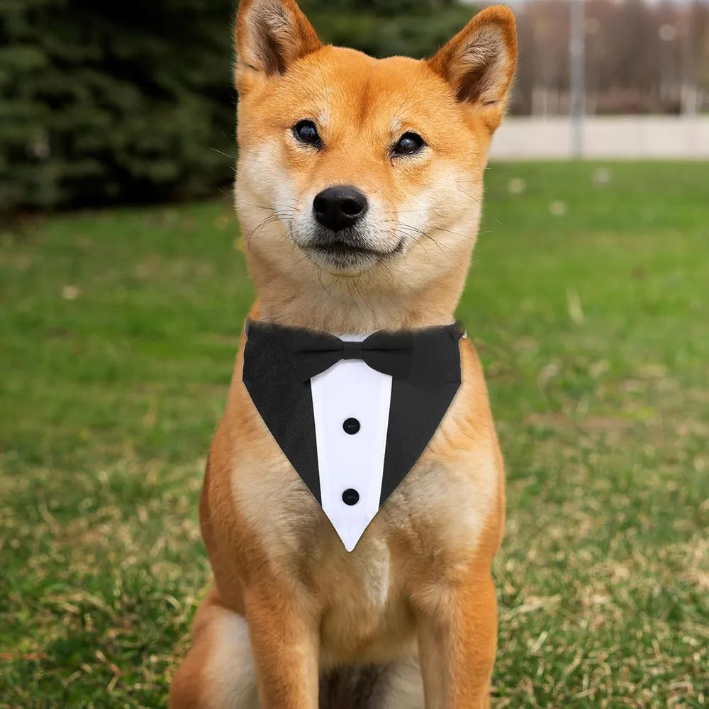 Dogs Tuxedo Formal Wedding Outfit Dog Bandana Tux Collar with Bow Tie Black Suit Costume for Pet Wedding Engagement and Birthday