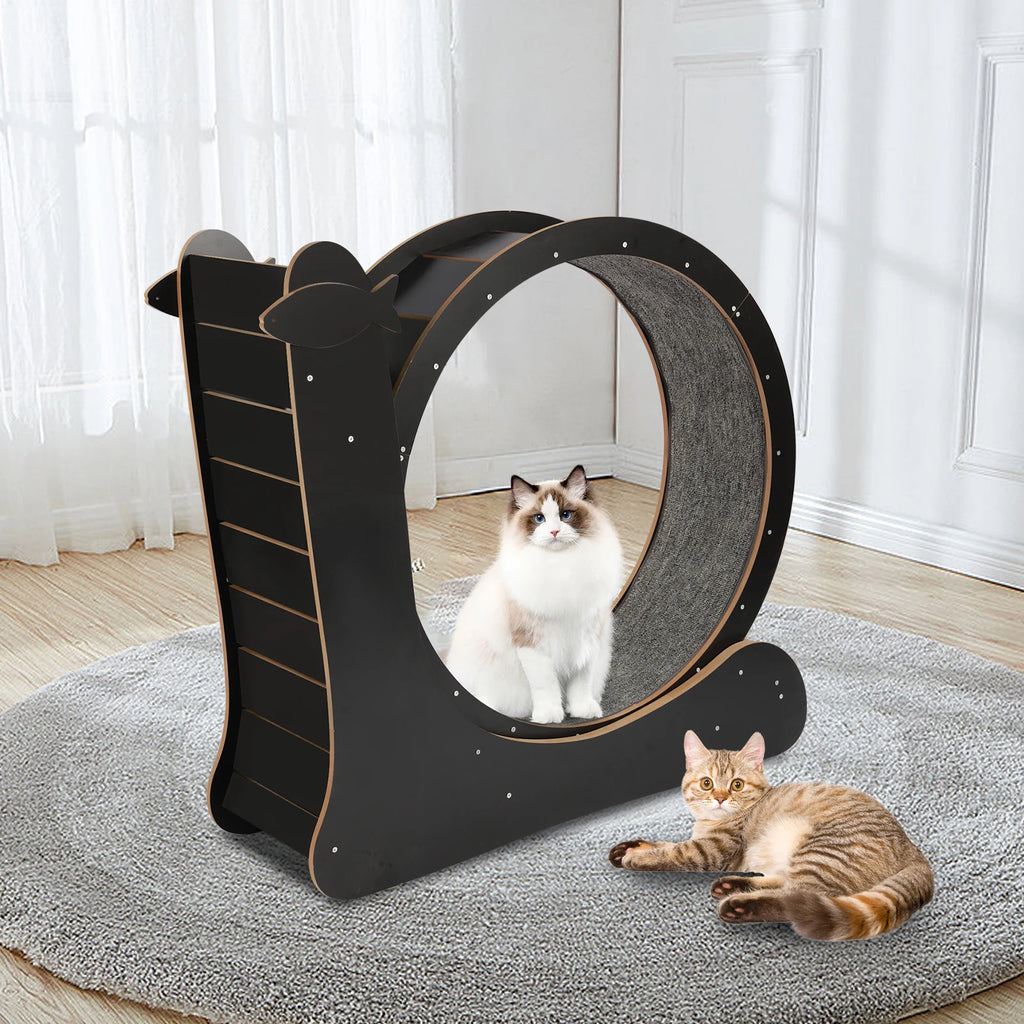 Cat Exercise Wheel Treadmill With Carpeted Runway For Cats