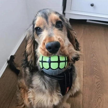 Dog Balls Toys Squeaky Fetch - Rubber Funny Ball Gifts for Large Medium Dogs