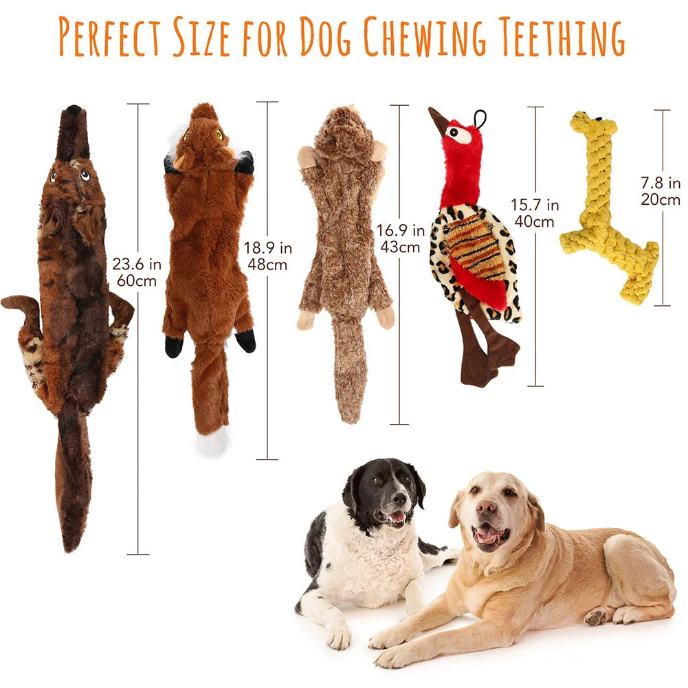 Hign-concerned Five Pack Crinkle Squeaky Plush Dog Toys No Stuffing