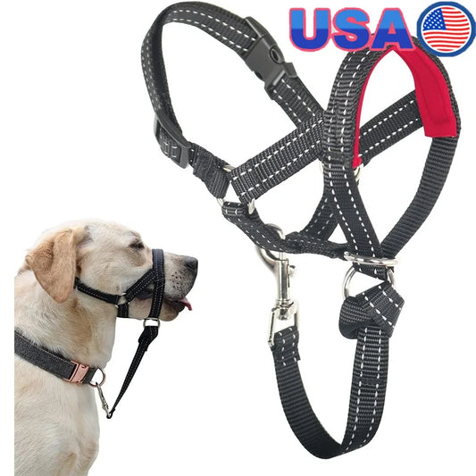 Reflective No Pull Soft Padded Dog Head Halter With Leash