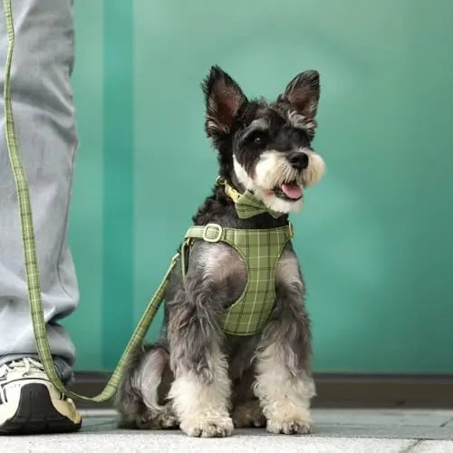 YTYIN Dog Harness And Leash Set With Bow And Plaid Collar