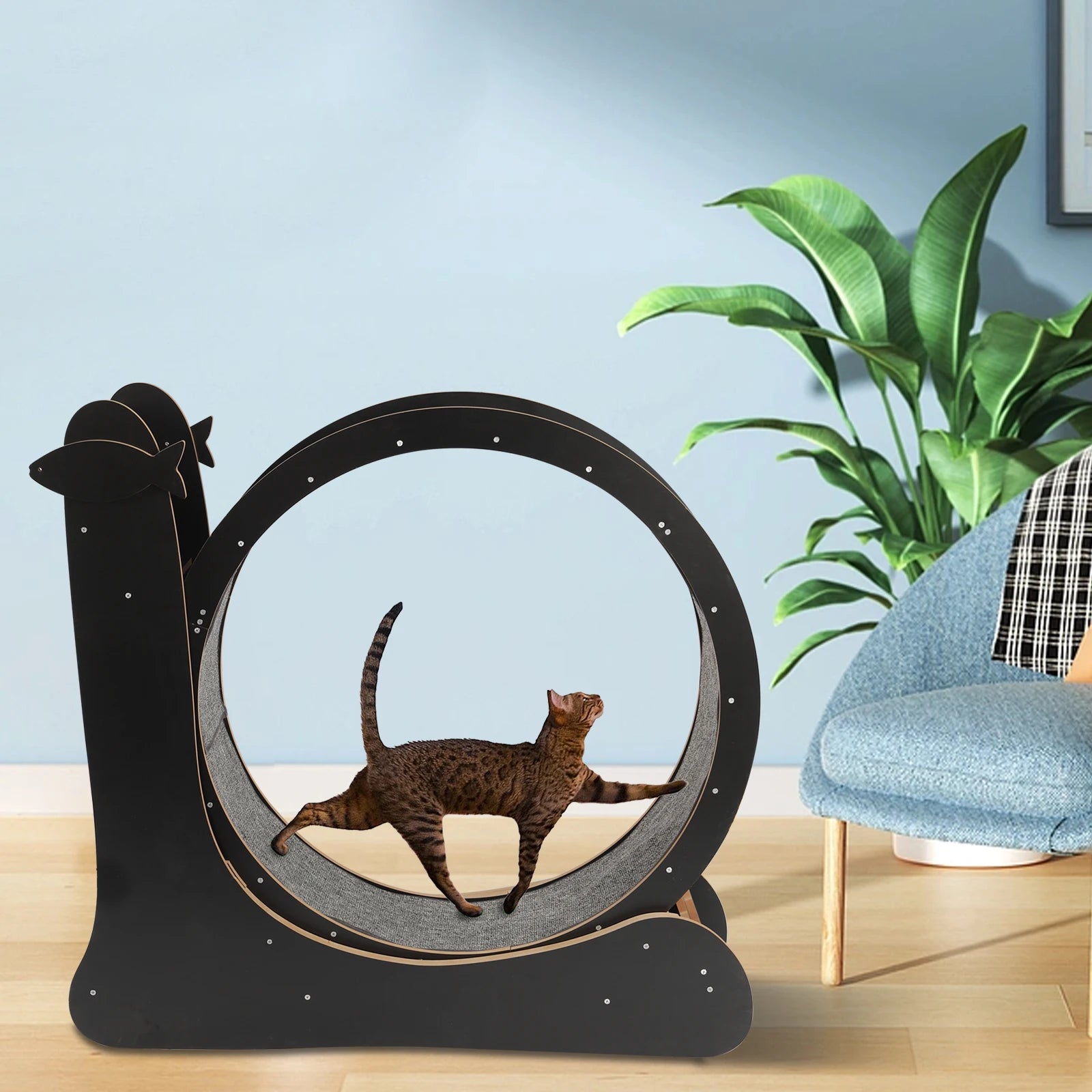 Cat Exercise Wheel Treadmill With Carpeted Runway For Cats