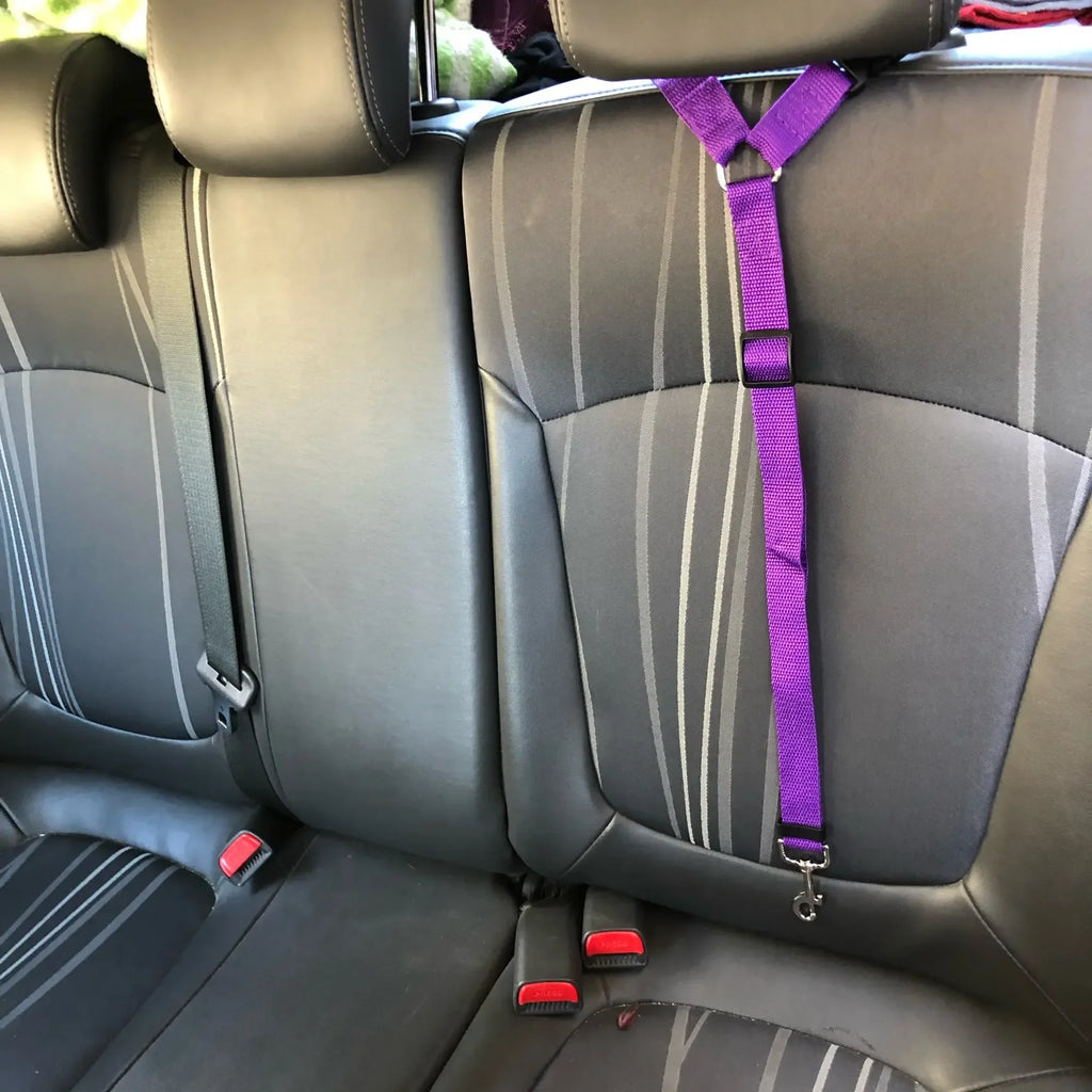 Two-In-One Pet Car Seat Belt Nylon Lead Leash Adjustable Durable