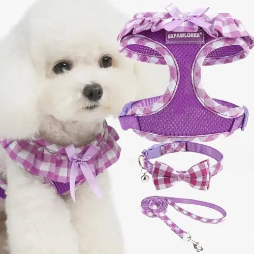 YTYIN Dog Harness Set With Adjustable Collar And Leash