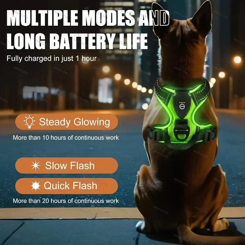 NONECN Led Luminous Dog Harness No Pull Adjustable Rechargeable Pet Vest Harness