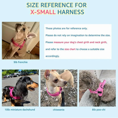 No Pull Small Dog Harness & Leash Set, Soft Vest for Small Medium Dogs, Reflective & Adjustable, Fuchsia XS