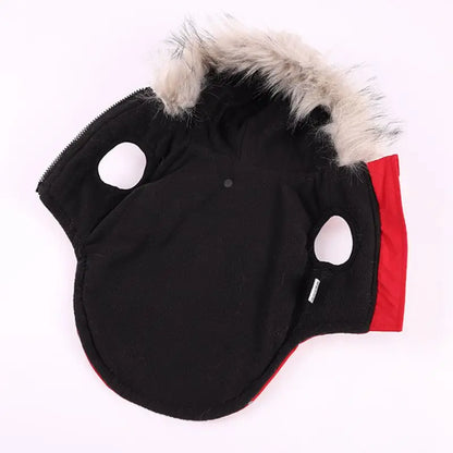 Winter Pet Dog Jacket With Harness Warm Dog Clothes Waterproof Hooded Coat for Small Medium Dogs Chihuahua French Bulldog Outfit