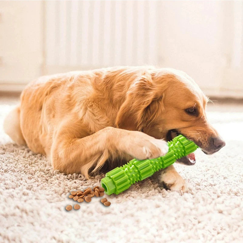 Pawstrip Dog Chew Toy for Teeth Cleaning and Treat Dispensing