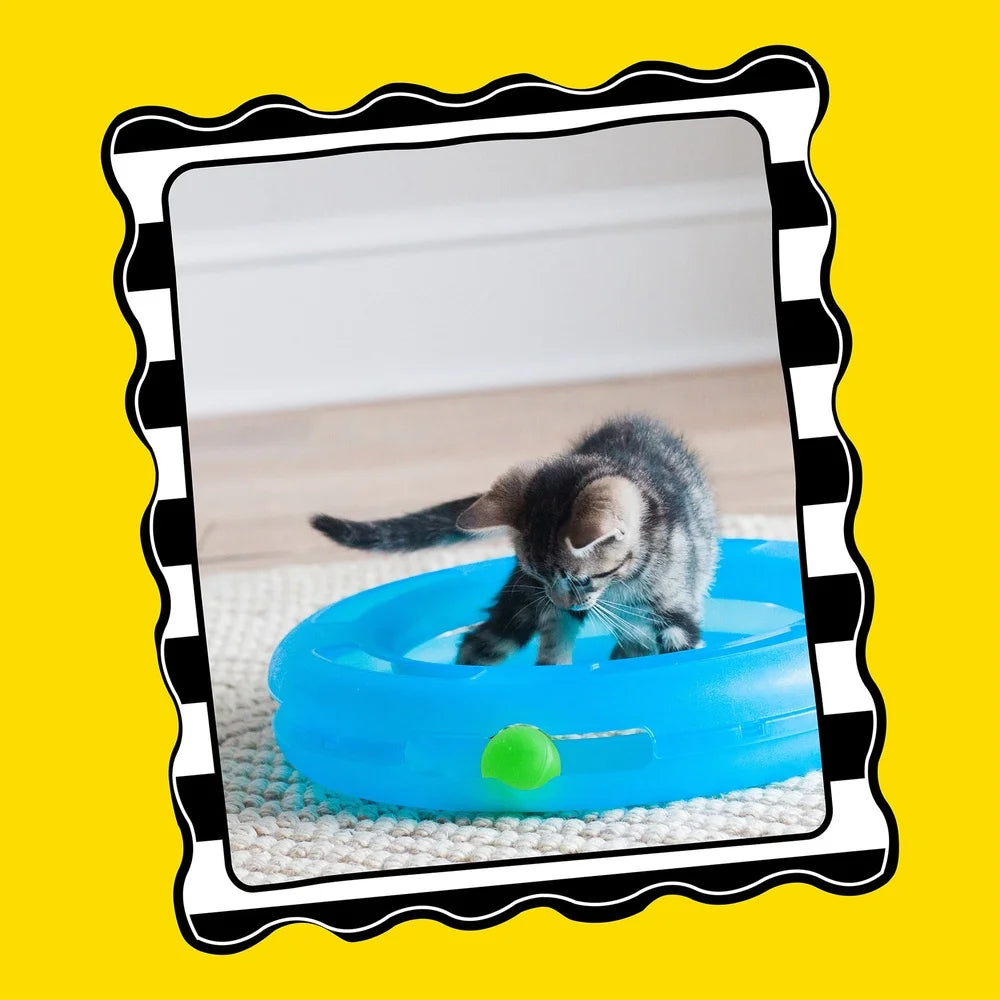 Crazy Circle Cat Toy Boredom Buster Reloadable Catnip Ball