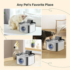 Wireless Stainless Steel Pet Water Fountain, 3.2L Automatic Cat Water Feeder with Motion Sensor,  Dog Water Bowl（No 5V 1A Plug）