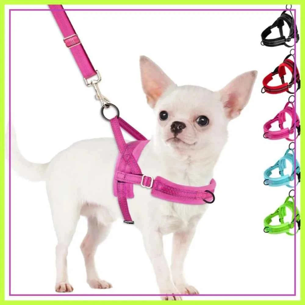 No Pull Small Dog Harness & Leash Set, Soft Vest for Small Medium Dogs, Reflective & Adjustable, Fuchsia XS
