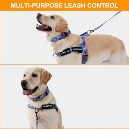No Pull Dog Harness, Heavy Duty Collar and Leash Set-Leash with Double Handle and Car Seatbelt Clip-Easy Control for Walking Tr