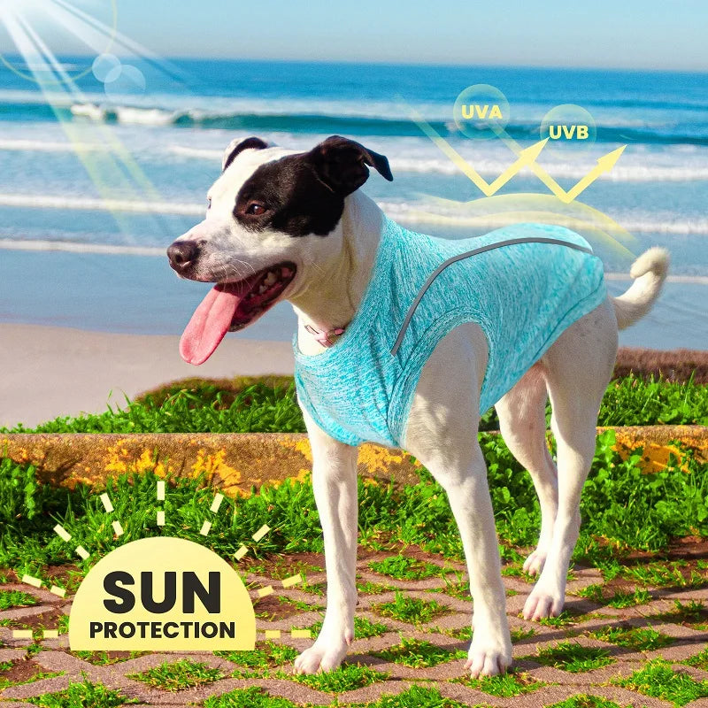 Pet Dog Shirt Quick Dry Dog T-Shirt Chihuahua Breathable Thin Sun Protection Dog Shirt Puppy Outdoor Clothes Summer Pet Supplies