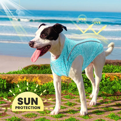 Pet Dog Shirt Quick Dry Dog T-Shirt Chihuahua Breathable Thin Sun Protection Dog Shirt Puppy Outdoor Clothes Summer Pet Supplies