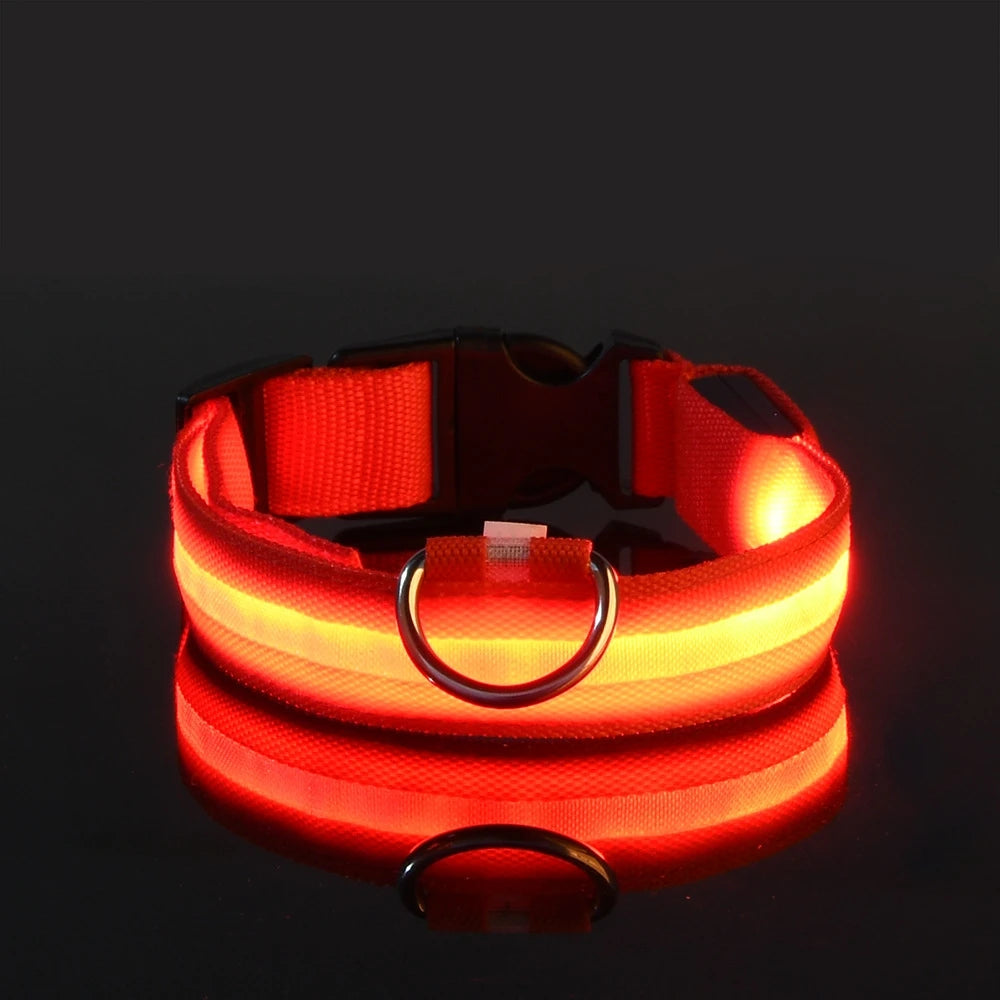 Nylon LED Night Safety Dog Leash And Collar Glow Bright