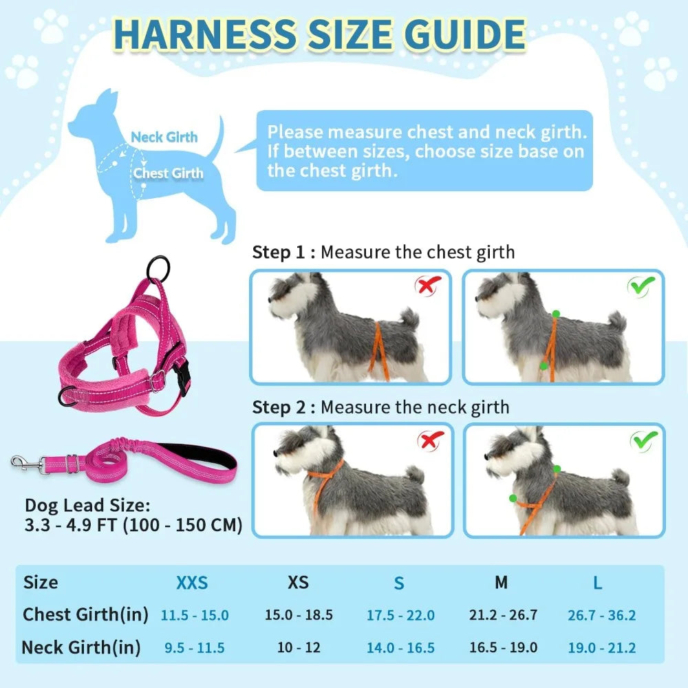 No Pull Small Dog Harness & Leash Set, Soft Vest for Small Medium Dogs, Reflective & Adjustable, Fuchsia XS